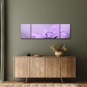 Obraz - Fioletowy kwiat (170x50 cm)