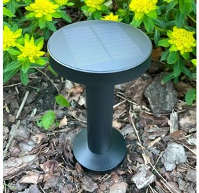 Zuma Line DT33611 - Lampa solarna CARLI LED/2W/2000 mAh IP44 czarna