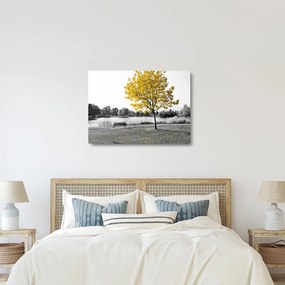 Obraz na szkle - Odpoczynek w parku (70x50 cm)