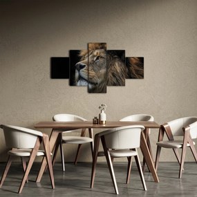 Obraz - Majestatyczny lew (125x70 cm)
