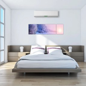 Obraz - Zamarznięta rzeka (170x50 cm)