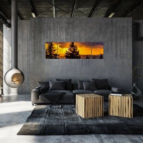 Obraz - drzewa iglaste (170x50 cm)