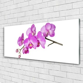 Obraz Szklany Storczyk Orchidea Kwiaty
