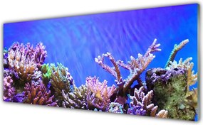 Dekor Szklany do Kuchni Podwodny Świat Rafy Koralowej