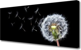 Obraz canvas Polny Urok Dmuchawców