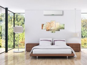Obraz - Rośliny po deszczu (125x70 cm)