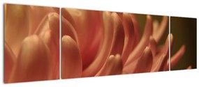 Obraz szczegółów kwiatu (170x50 cm)