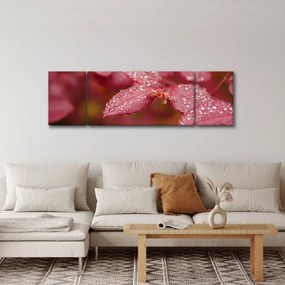 Obraz - Obraz biletu w trybie makro (170x50 cm)