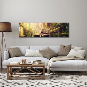 Obraz tygrysa (170x50 cm)
