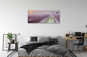 Obraz na płótnie Pole Wrzosów