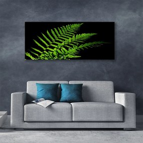 Obraz Canvas Paprotka Paprocie Liście