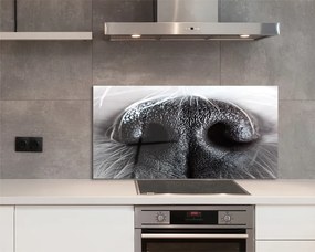 Szkło Ozdobne do Kuchni Zbliżenie na Psi Nos