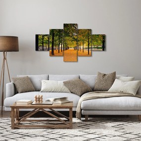 Obraz alei jesiennych drzew (125x70 cm)