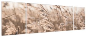 Obraz - Łąkowy wianek (170x50 cm)