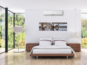 Obraz - Sat (170x50 cm)