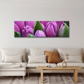 Obraz - kwiaty tulipanów (170x50 cm)