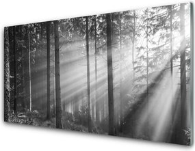 Panel Szklany Słońce w Katedrze Drzew