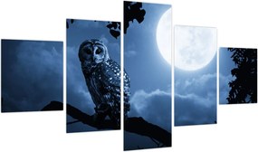 Obraz - Nocna Sowa (125x70 cm)