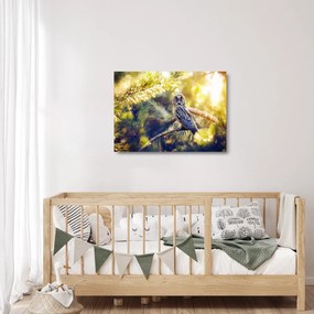 Obraz na szkle sowy na drzewie (70x50 cm)
