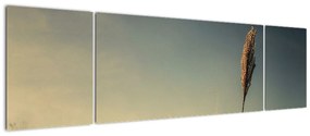 Obraz z trawą (170x50 cm)