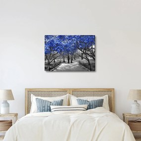 Obraz - Niebieskie drzewa, Central Park, New York (70x50 cm)