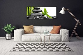 Obraz drukowany na płótnie Harmonia Natury: Kamienie i Liście