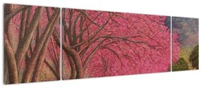 Obraz kwitnących drzew (170x50 cm)