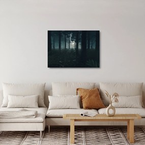 Obraz na szkle - Paproć w świetle księżyca (70x50 cm)