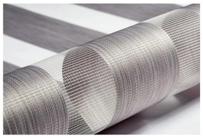 Szarobrązowa roleta dzień i noc 72,5x150 cm Zebra Silvalin – Gardinia