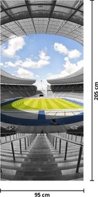 Fototapeta na drzwi - Stadion piłkarski (95x205cm)