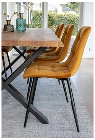 Zestaw 2 krzeseł z musztardowym aksamitnym obiciem House Nordic Middelfart