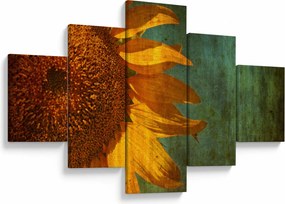 Obraz - Słonecznik (125x70 cm)