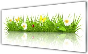 Panel Szklany do Kuchni Zielona Świeżość Trawy