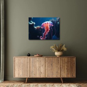 Obraz - Meduza (70x50 cm)