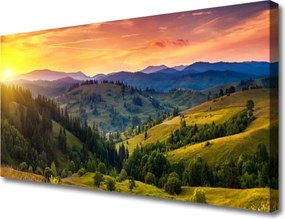 Obraz canvas Egzotyczny Kwiat Plumerii