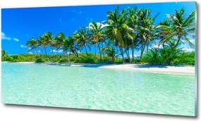 Foto obraz szklany Tropikalna plaża