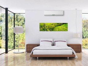 Obraz - Pola ryżowe (170x50 cm)