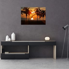 Obraz na szkle - palma o zachodzie słońca (70x50 cm)
