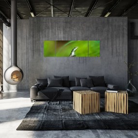 Obraz jaszczurki (170x50 cm)