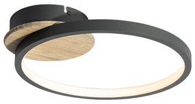 Nowoczesna lampa sufitowa czarna z drewnem z możliwością ściemniania LED 3-stopniowego - Alec Nowoczesny Oswietlenie wewnetrzne