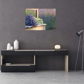 Obraz na szkle - Pęczki lawendy (70x50 cm)