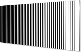 Panel Szklany Gradientowy Wzór Zebry