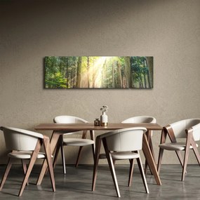 Obraz ścieżki w lesie (170x50 cm)
