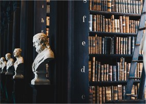 Obraz - W bibliotece (70x50 cm)