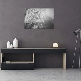 Obraz na szkle - Łąka po deszczu (70x50 cm)