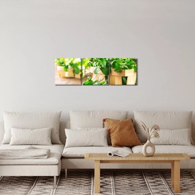 Obraz świeżej mięty (z zegarem) (90x30 cm)