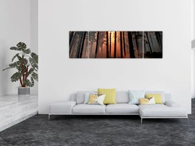 Obraz ciemnego lasu (170x50 cm)