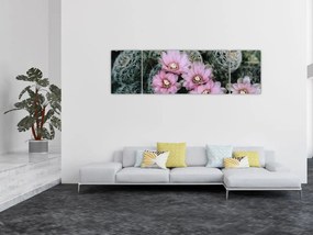 Obraz kwiatu kaktusa (170x50 cm)
