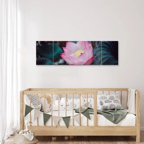 Obraz różowego kwiatu (170x50 cm)
