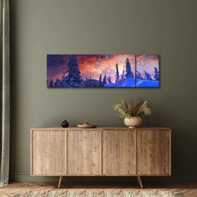 Obraz - Zimowy zmierzch (170x50 cm)